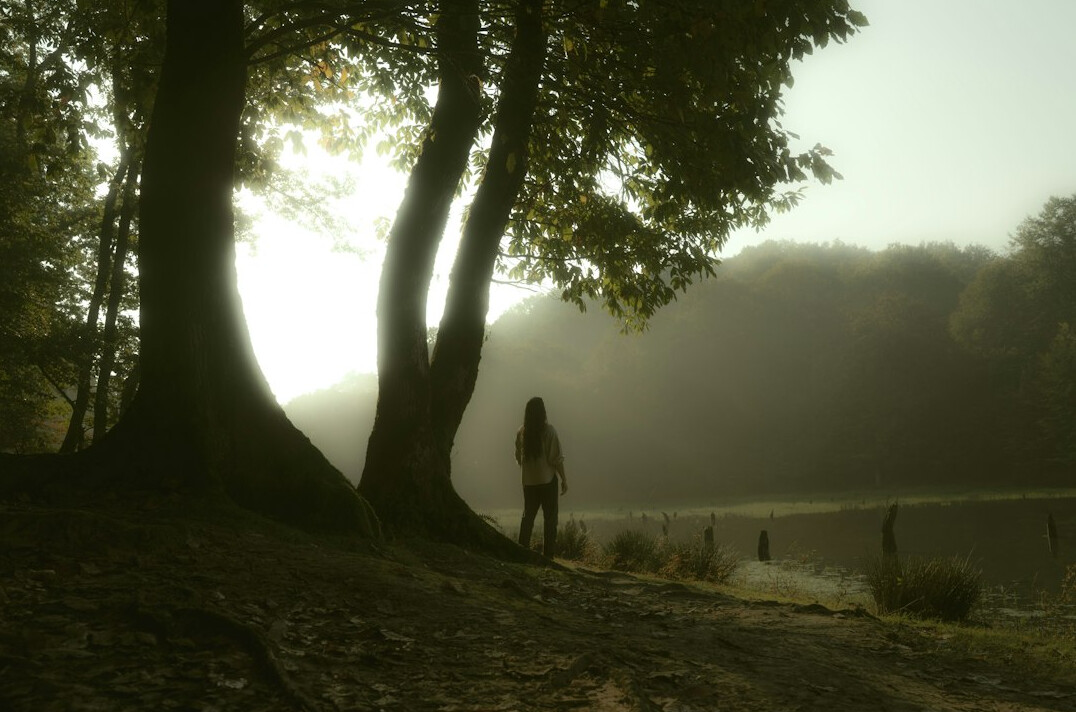 shadowy figure in fog