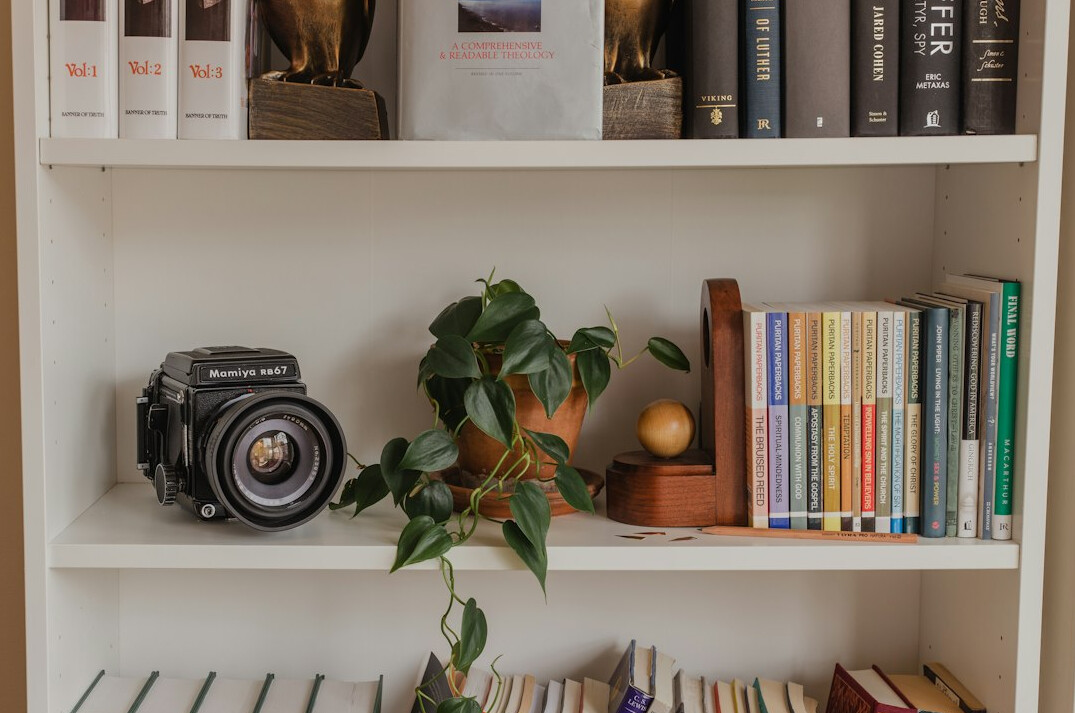 bookshelf with mystery novels