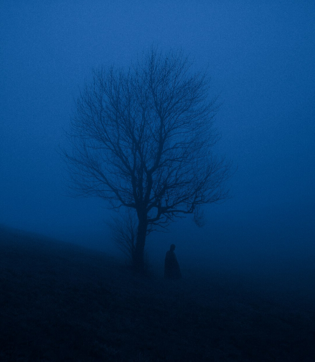 shadowy figure in fog