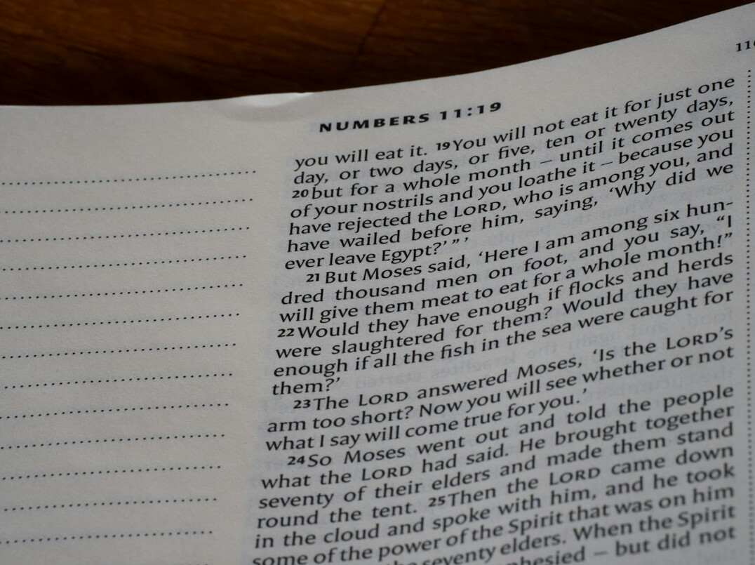 mystery book pages
