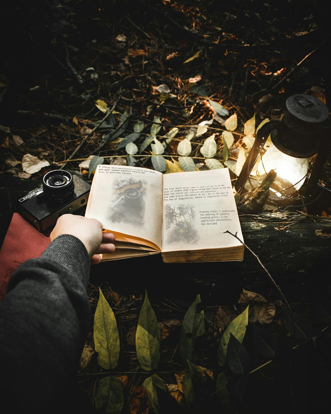 person reading book at night